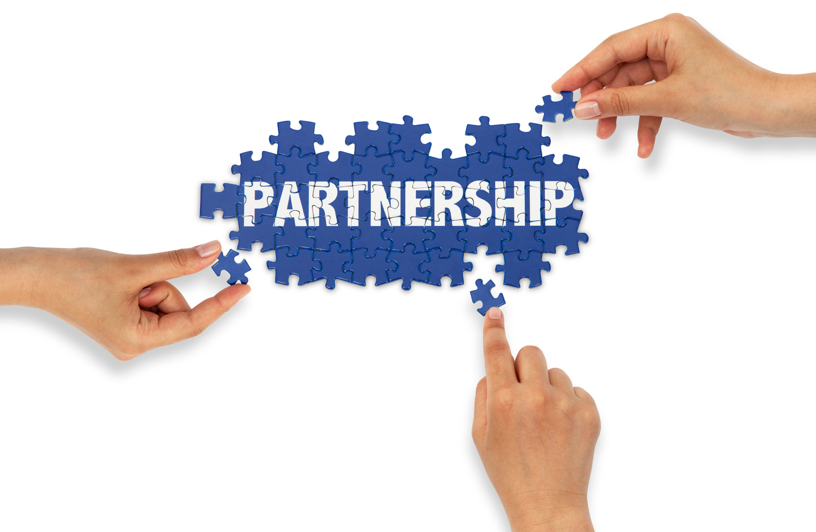 Our Partners